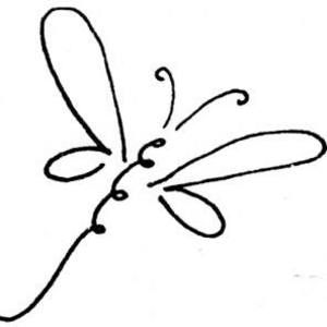 Meet your Posher, Annette